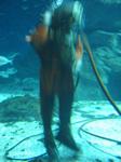 IMG_6351 IMG_6351