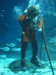 IMG_6352 IMG_6352
