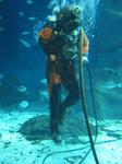IMG_6353 IMG_6353