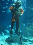 IMG_6354 IMG_6354