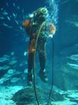 IMG_6355 IMG_6355