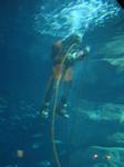 IMG_6359 IMG_6359