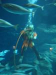 IMG_6360 IMG_6360