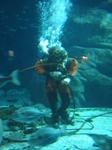 IMG_6361 IMG_6361