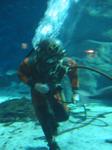 IMG_6362 IMG_6362