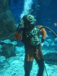 IMG_6363 IMG_6363