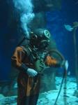 IMG_6366 IMG_6366
