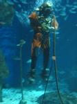IMG_6367 IMG_6367