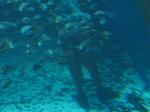 IMG_6373 IMG_6373