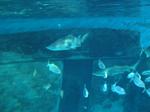 IMG_6375 IMG_6375