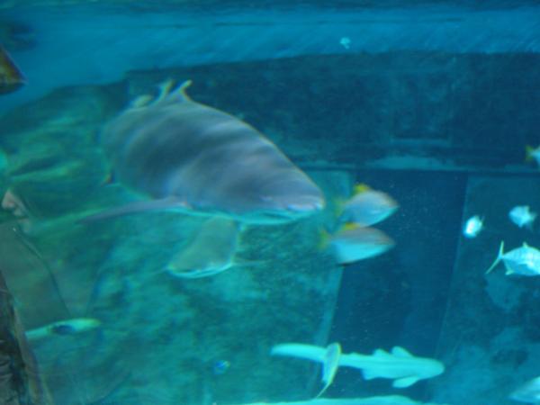IMG_6376