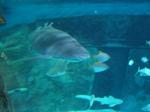 IMG_6376 IMG_6376