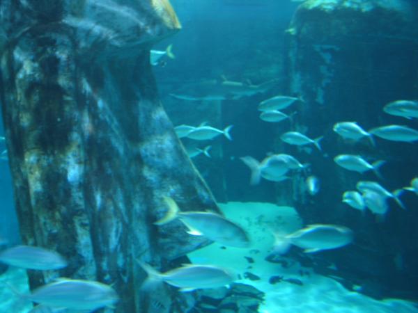 IMG_6377