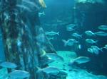 IMG_6377 IMG_6377