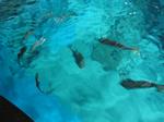IMG_6379 IMG_6379