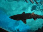 IMG_6380 IMG_6380