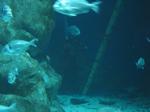 IMG_6415 IMG_6415