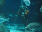 IMG_6417 IMG_6417
