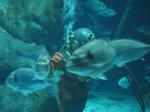 IMG_6418 IMG_6418