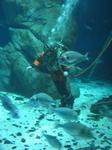 IMG_6423 IMG_6423