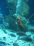 IMG_6424 IMG_6424