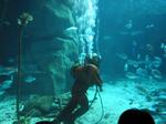 IMG_6427 IMG_6427