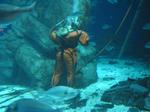 IMG_6428 IMG_6428