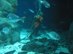 IMG_6429 IMG_6429