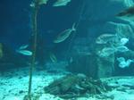 IMG_6430 IMG_6430