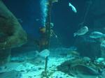 IMG_6432 IMG_6432