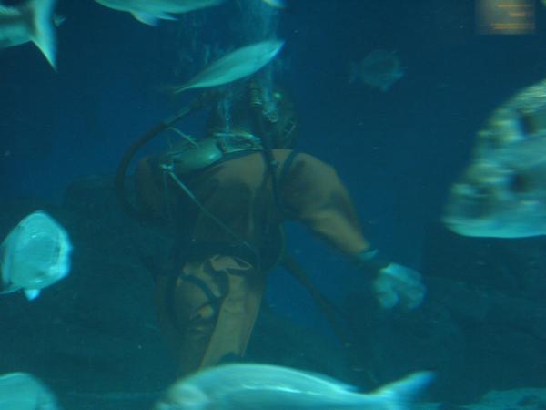 IMG_6433