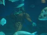 IMG_6433 IMG_6433