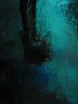 IMG_6437 IMG_6437