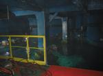IMG_6451 IMG_6451