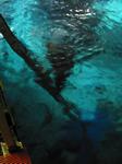 IMG_6484 IMG_6484