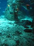 IMG_6485 IMG_6485