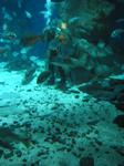 IMG_6486 IMG_6486