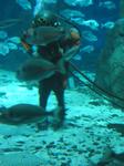 IMG_6487 IMG_6487