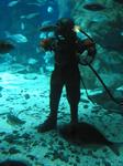 IMG_6488 IMG_6488