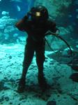 IMG_6489 IMG_6489