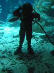 IMG_6490 IMG_6490