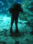 IMG_6491 IMG_6491