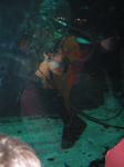 IMG_6492 IMG_6492