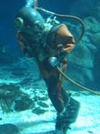IMG_6493 IMG_6493