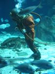 IMG_6494 IMG_6494