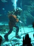 IMG_6497 IMG_6497