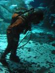 IMG_6499 IMG_6499