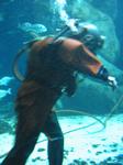 IMG_6501 IMG_6501
