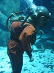 IMG_6502 IMG_6502