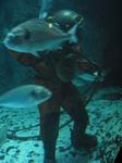 IMG_6504 IMG_6504